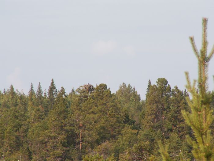 pict7183.jpg