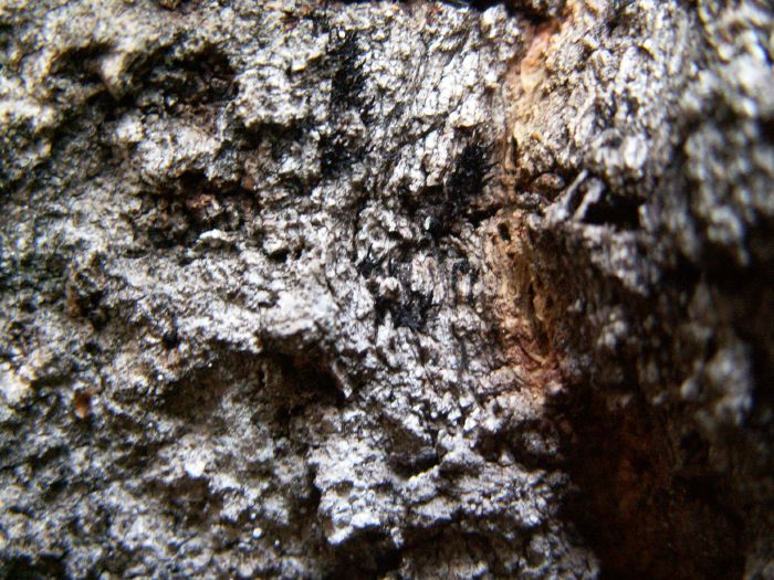 pict7236.jpg