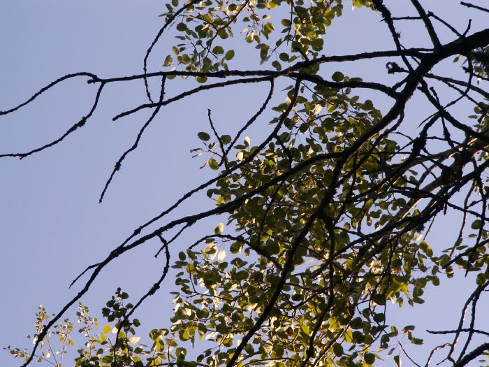 pict7274.jpg