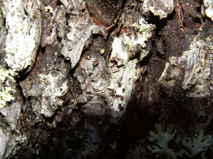 pict7379.jpg