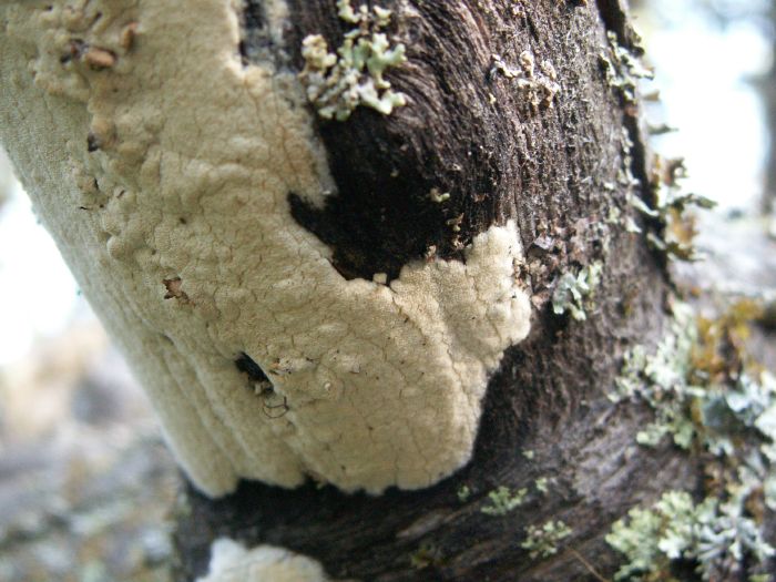 pict7453.jpg