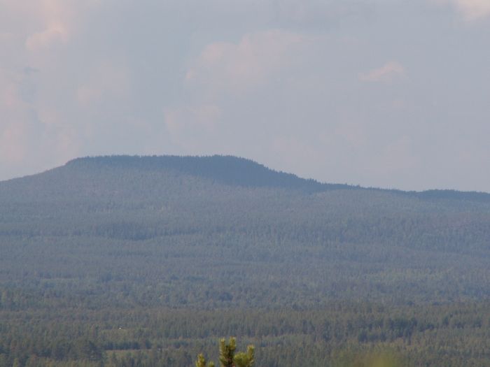 pict7488.jpg