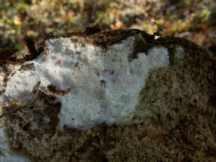 pict7508.jpg