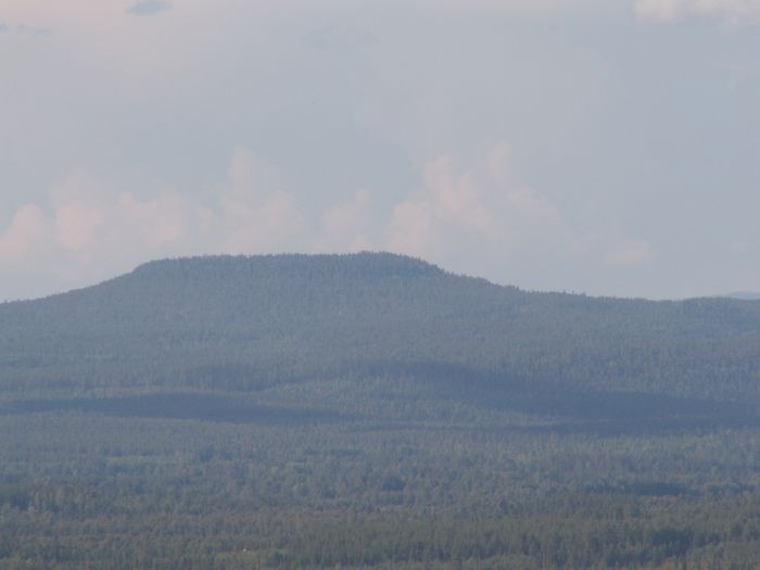 pict7539.jpg