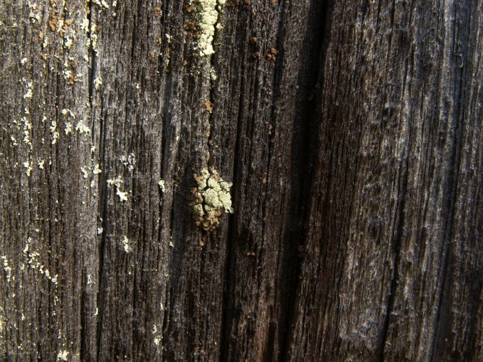 pict7548.jpg