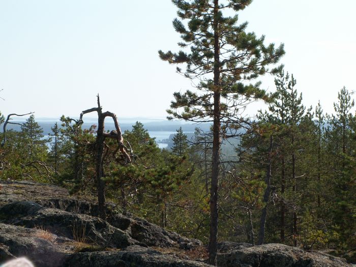pict7590.jpg