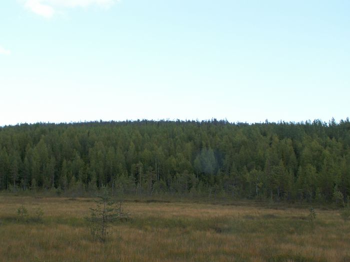 pict7690.jpg